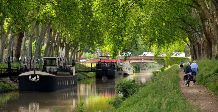 Our top Tour de France cycling tours